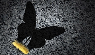 ایجاد عادت‌های خوب